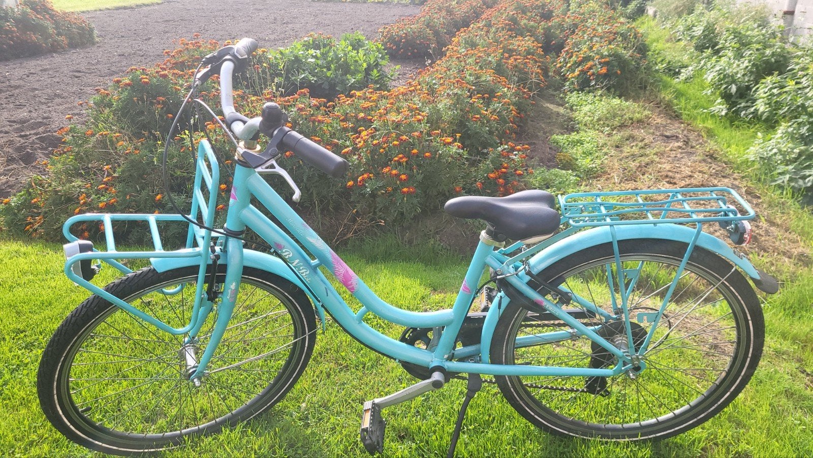 Vélo BNB Marseille pour filles, Enlèvement