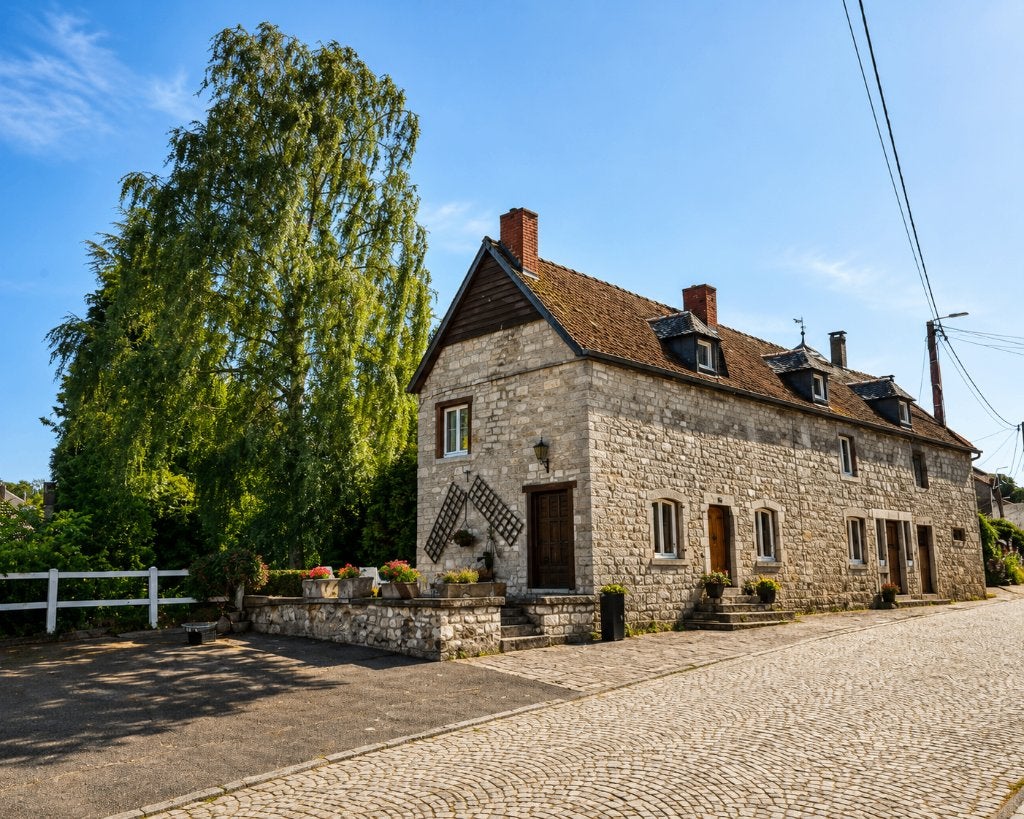 Maison à vendre, Immo, Maisons à vendre, Falmignoul, 160 m², Maison individuelle, 4 pièces