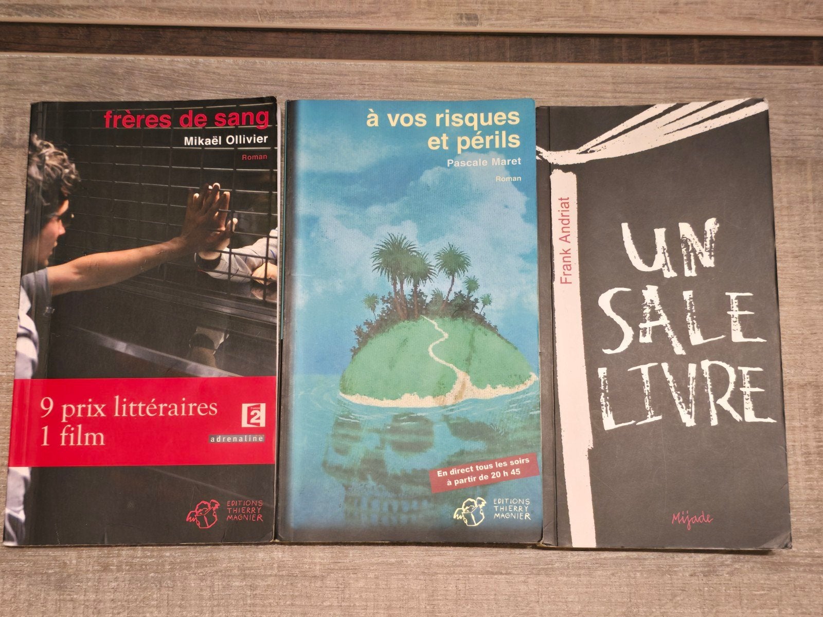 livres Frères de sang A vos risques et périls Un sale livre, Livres, Enlèvement ou Envoi