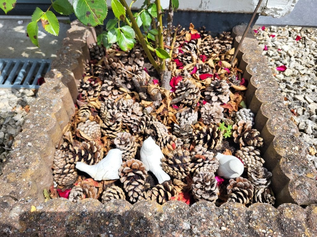 Kleine decoratieve betonnen vogels (8), Tuin en Terras, Tuinbeelden, Ophalen, Gebruikt, Beton, Dierenbeeld
