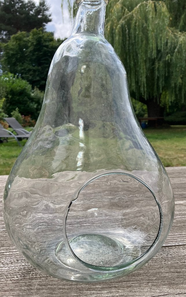Vase terrarium en verre, Enlèvement, Verre