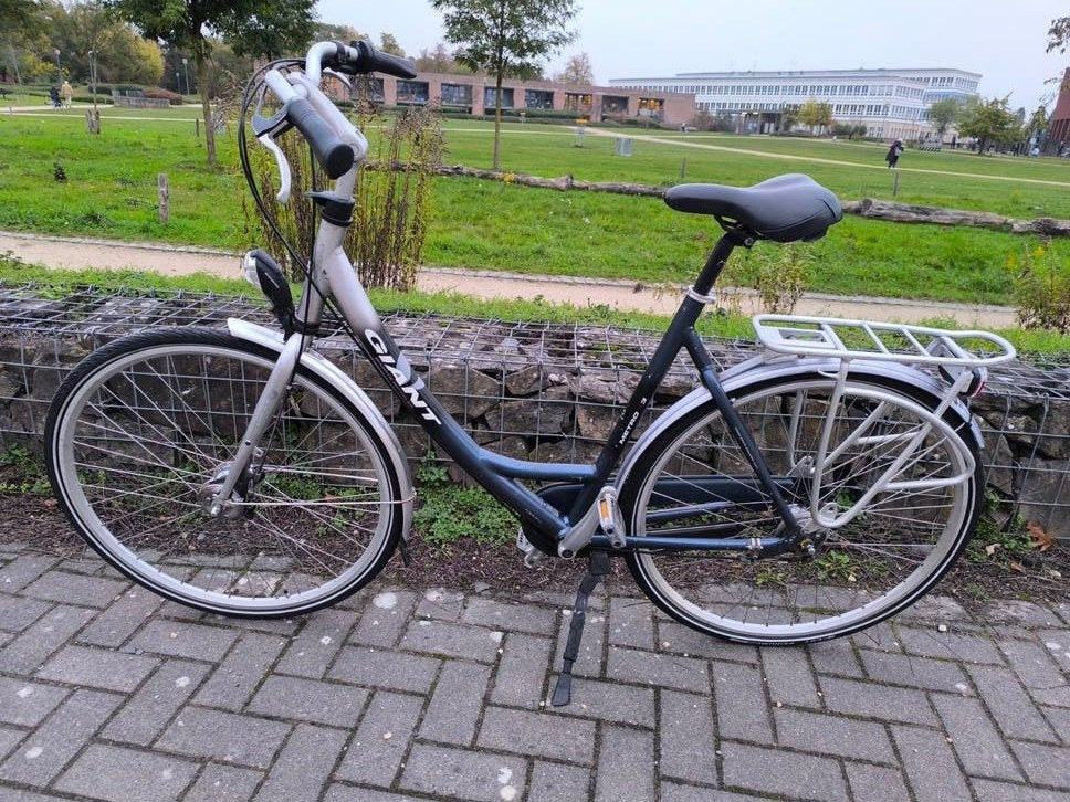 Giant Damesfiets perfect staat Aluminiumframe, Fietsen en Brommers, Ophalen, Gebruikt, 49 tot 53 cm, Giant