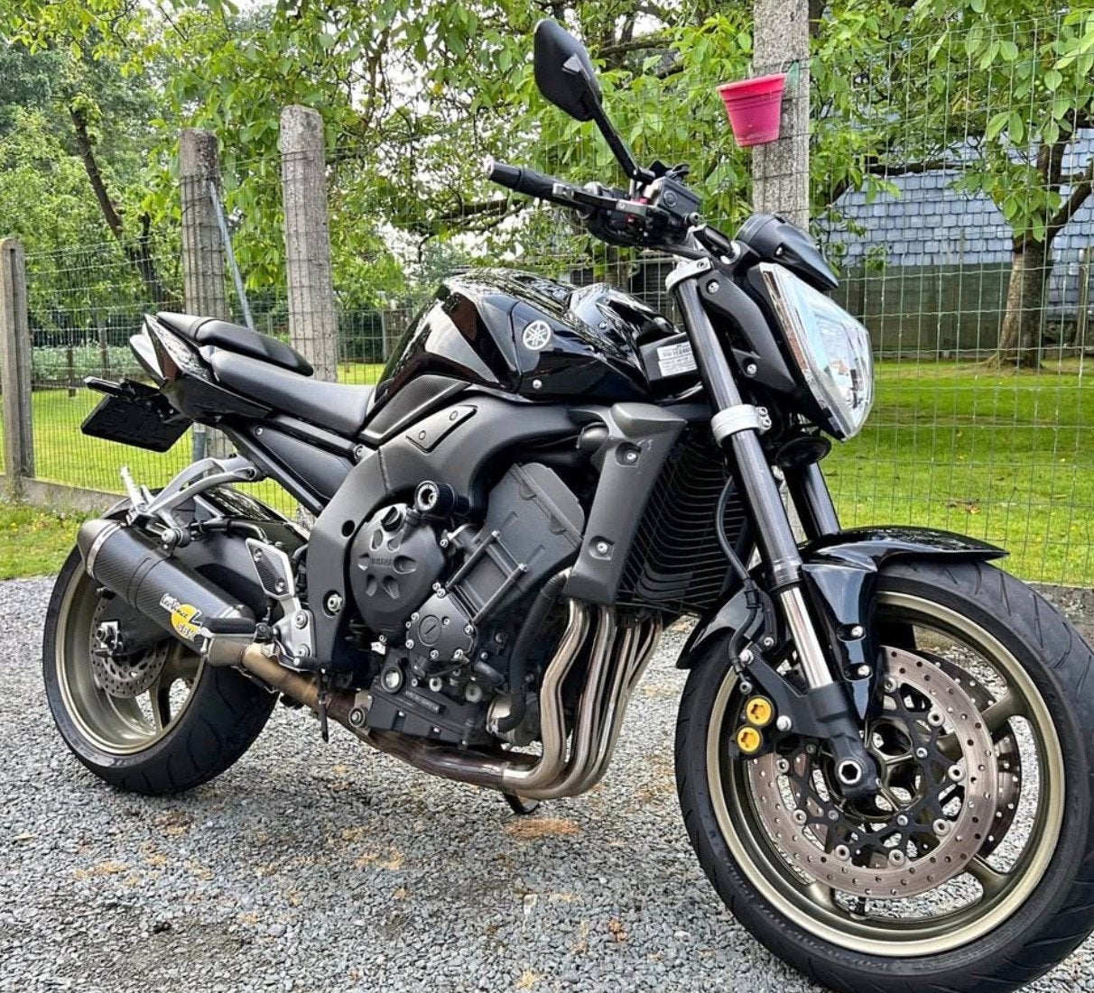 Yamaha FZ1000, Motoren, Sportuitlaat, 4 cilinders, Motorrijbewijs A, Super Sport