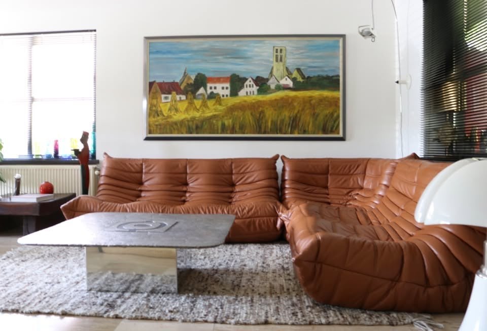 Zeer groot naïef landschap schilderij Ange XXL, Antiek en Kunst, Ophalen, Landschap
