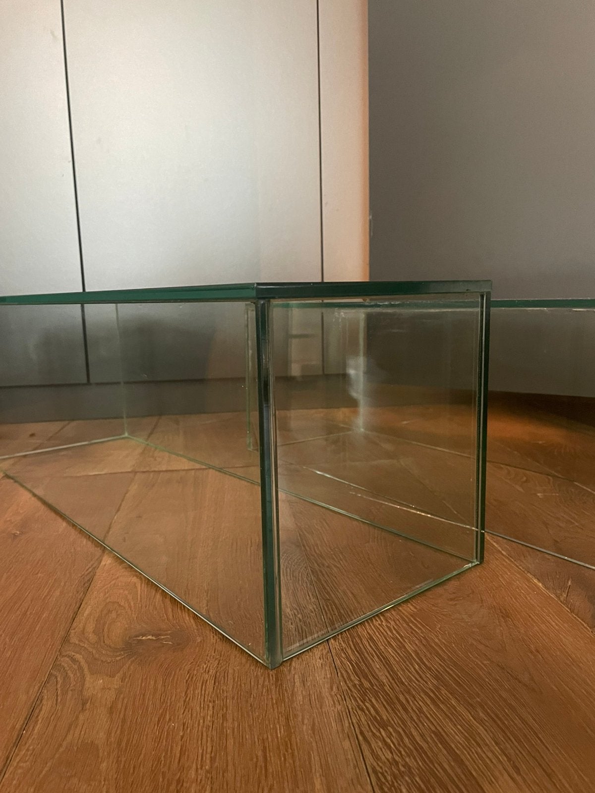 Set van 2 glazen vitrinekappen – 58  20  20 cm, Glas, Ophalen, Zo goed als nieuw, Set