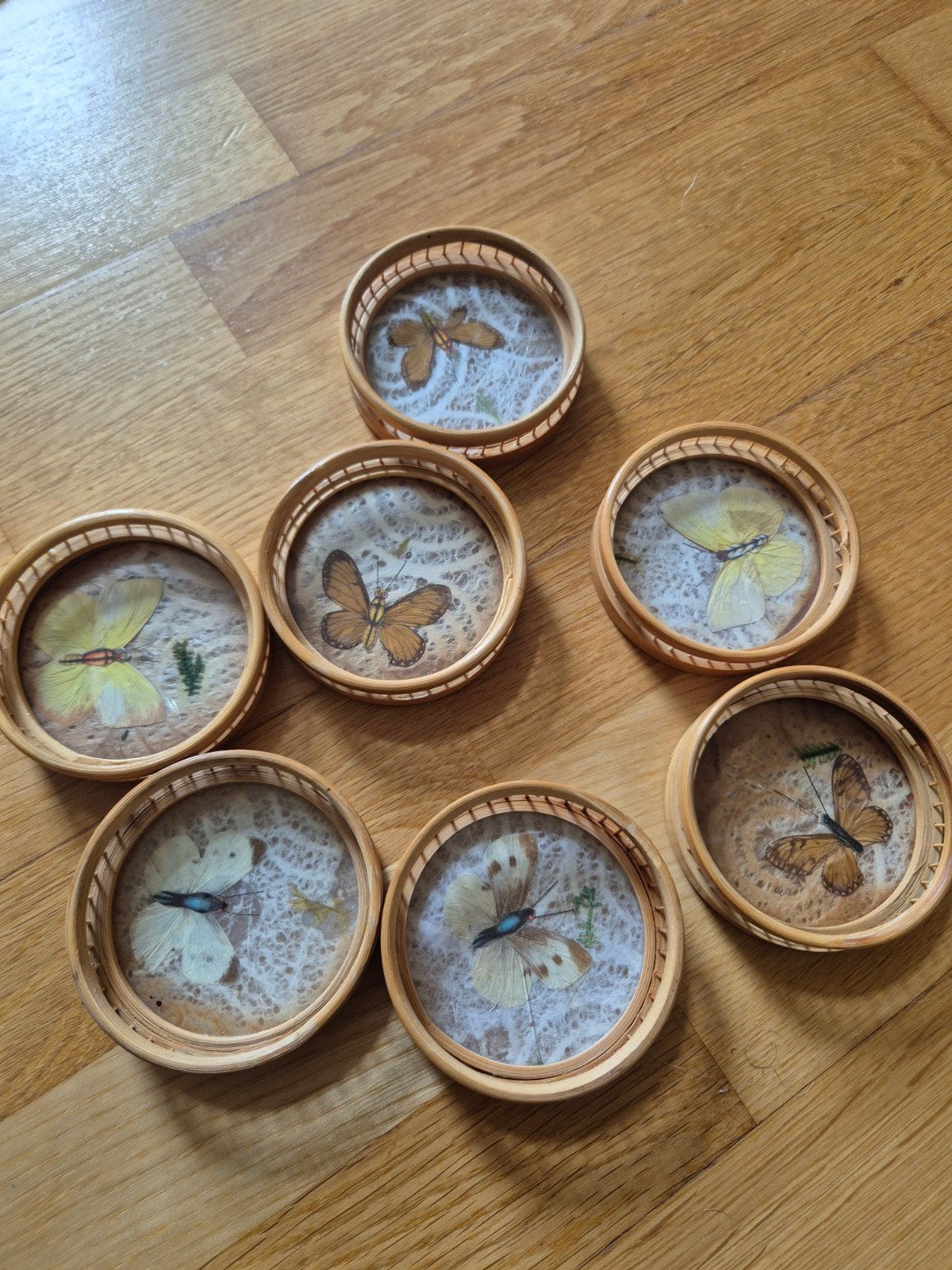 Vintage taxidermie vlinder onderzetters, Ophalen