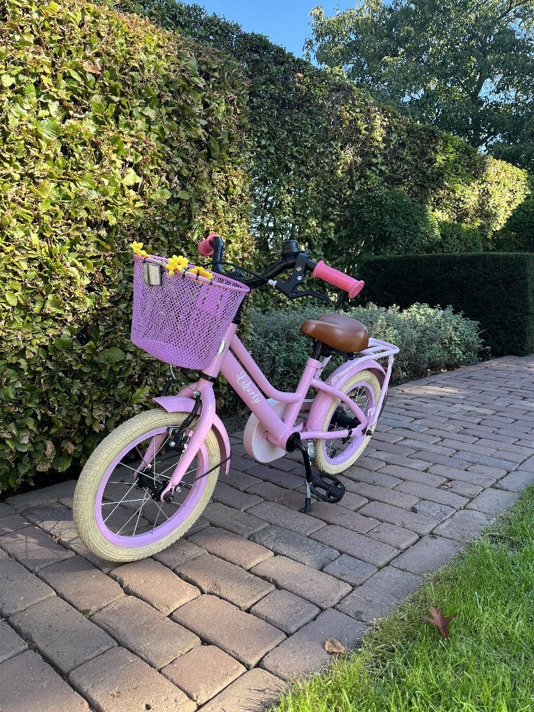 kinderfiets, Fietsen en Brommers, Ophalen, Terugtraprem, Zijwieltjes, Gebruikt