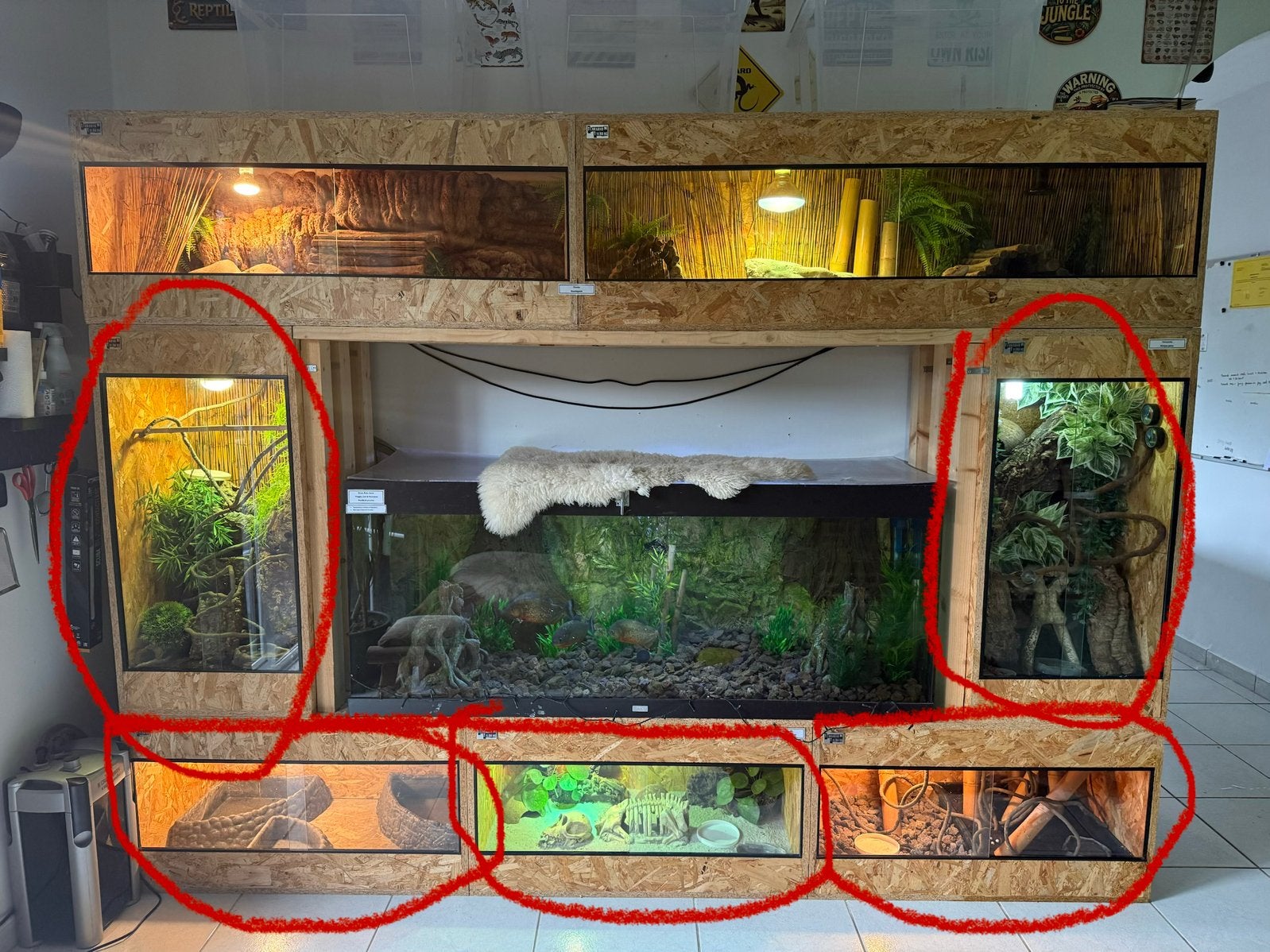 Verschillende osb terrariums te koop, Ophalen, Zo goed als nieuw