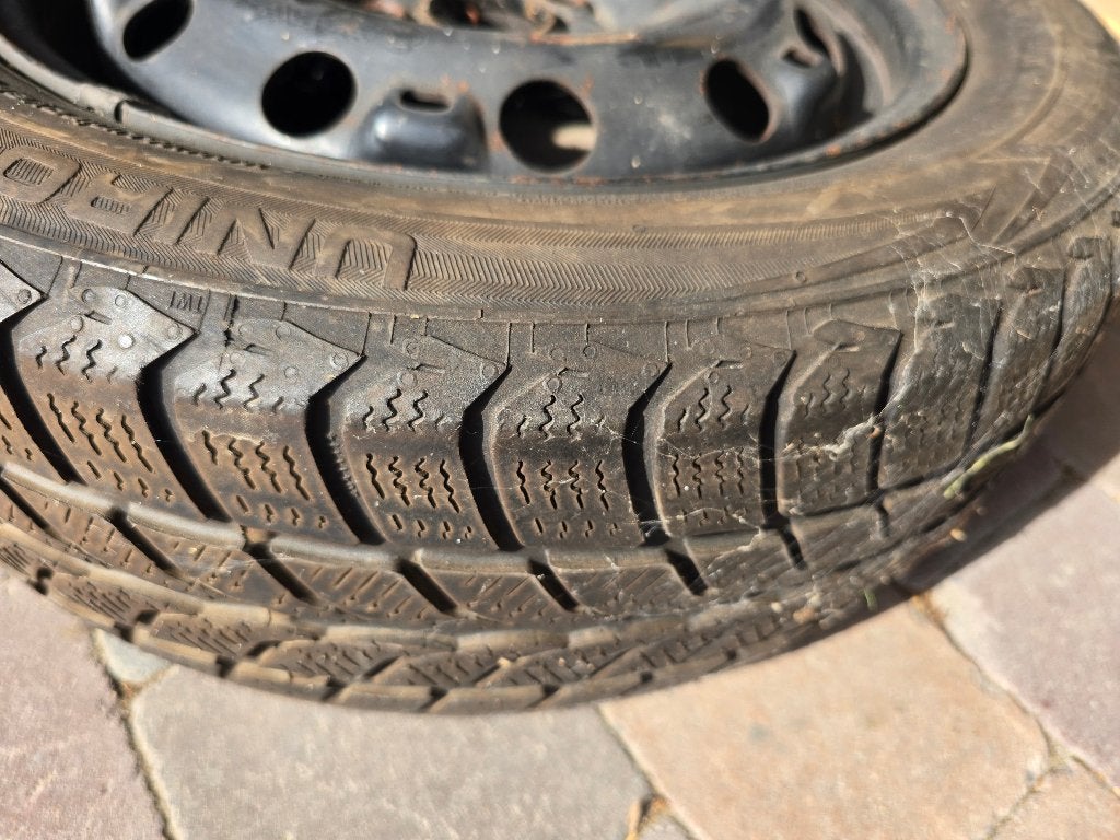Pneu hiver 195/55 R15. 85H, 15 pouces, Pneus hiver, Enlèvement, Utilisé