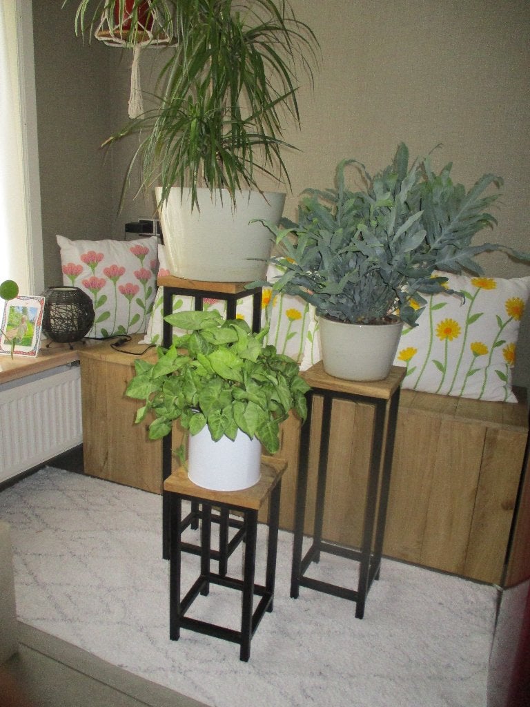 3 staanders te koop, Ophalen, Nieuw