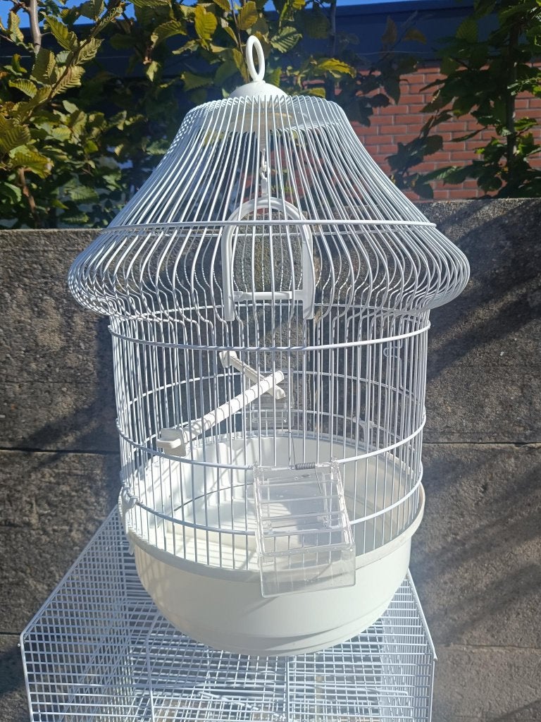 vogelkooi nieuw, Ophalen, Nieuw, Metaal, Vogelkooi