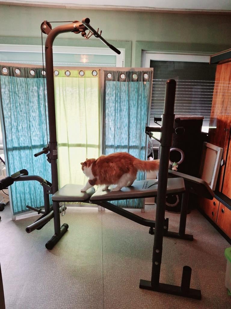 Pressbank homefitness, Sport en Fitness, Fitnessmaterialen, Ophalen