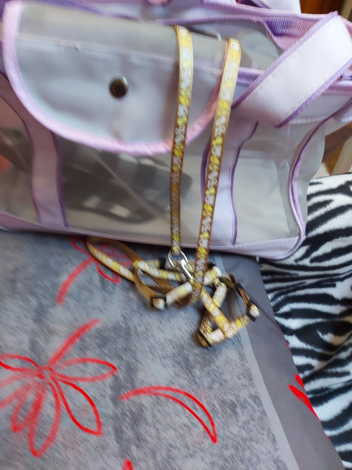 Sac de transport pour petit chien  laisse avec harnais