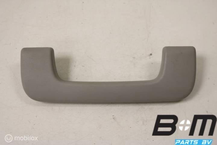 Handgreep in hemel LV, LA, RA of RV Audi A3 8P, Utilisé