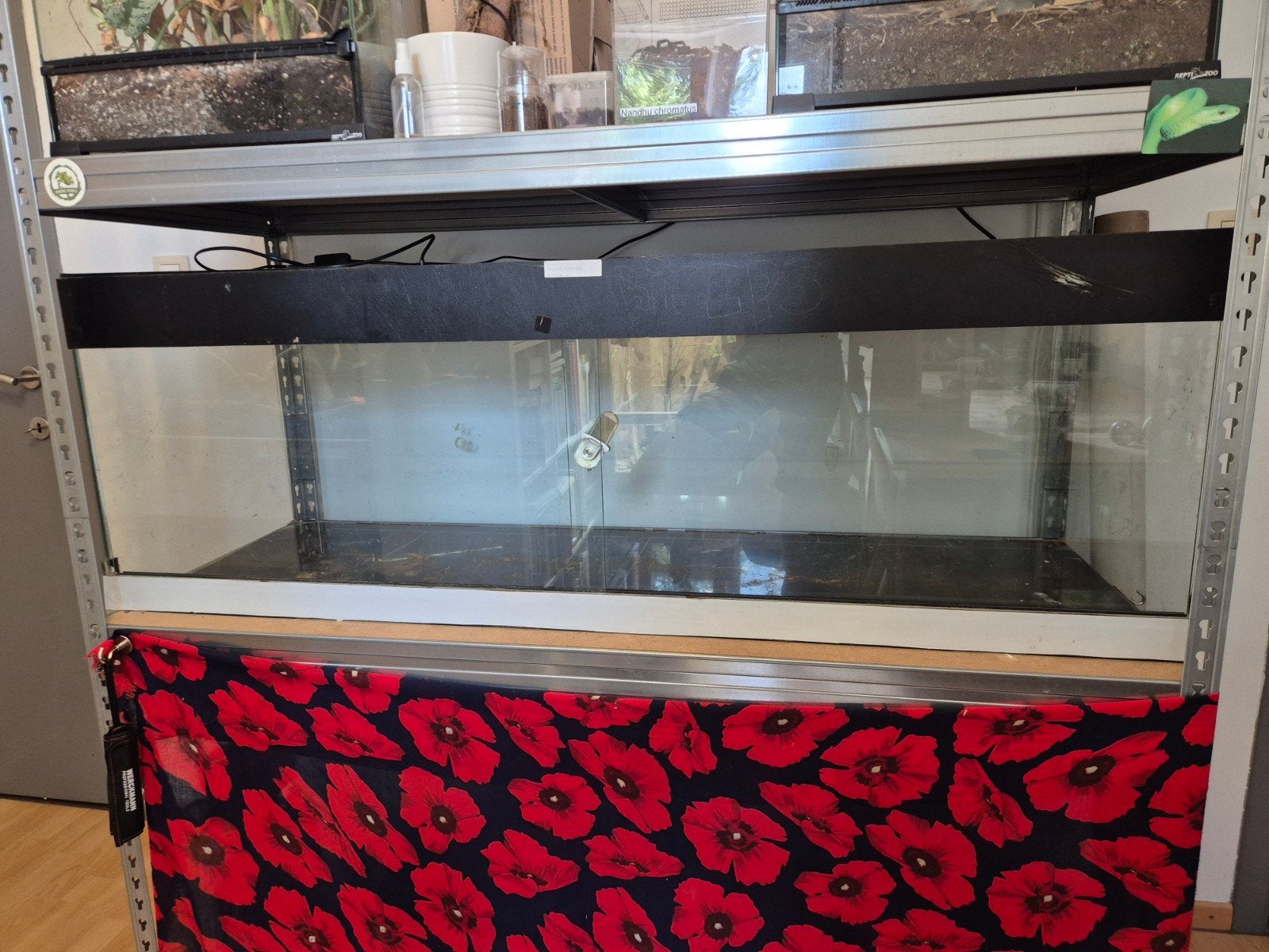 TERRARIUM 150/50/50 (gratuit), Dieren en Toebehoren, Ophalen, Gebruikt, Terrarium of Paludarium