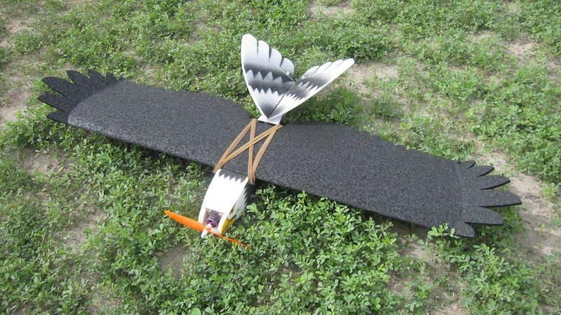 BlackEagle 1200mm | ARF EPP-Foam + Elektronica | NIEUW, Hobby en Vrije tijd, Ophalen of Verzenden, Nieuw, Elektro