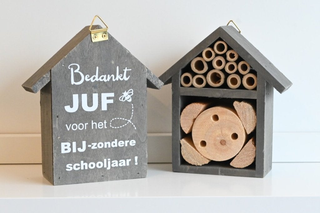 Insectenhotel groen/beige – Bedankt JUF voor het BIJ-zondere, Enlèvement ou Envoi, Neuf