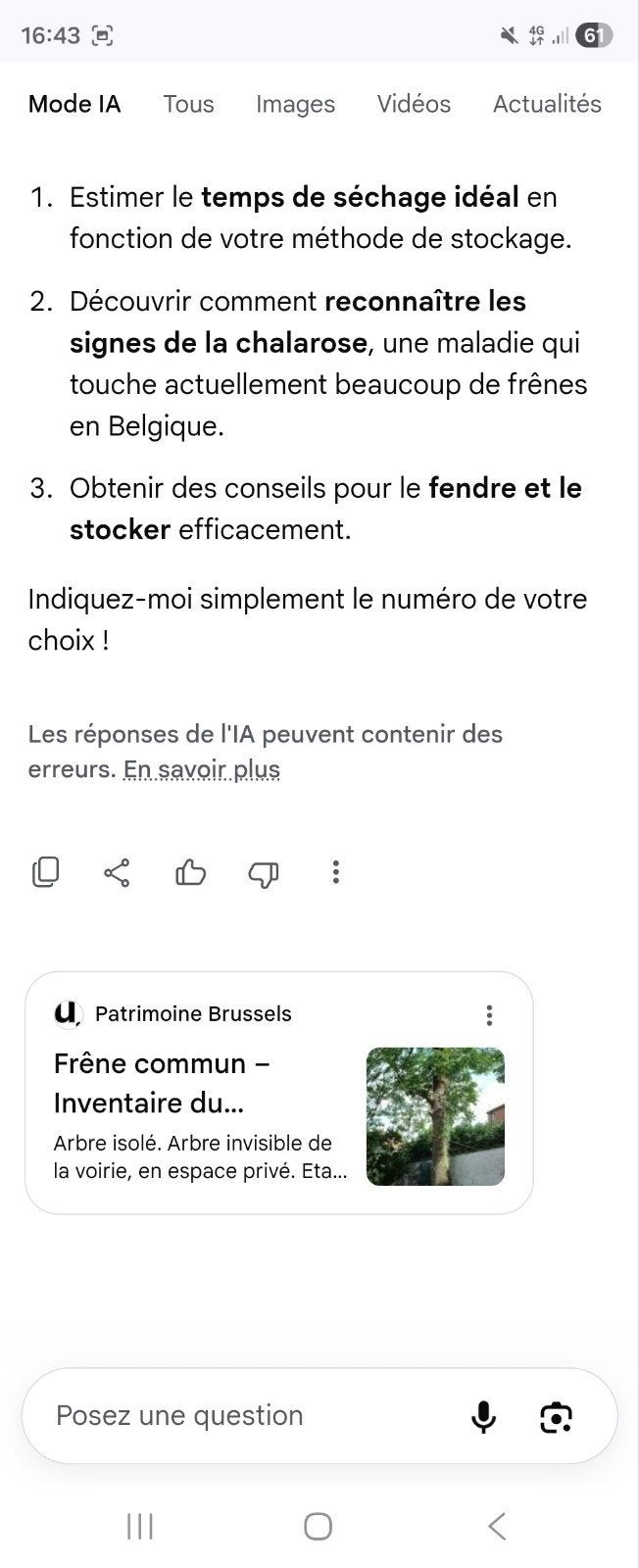 bois de chauffage, Enlèvement, Frêne