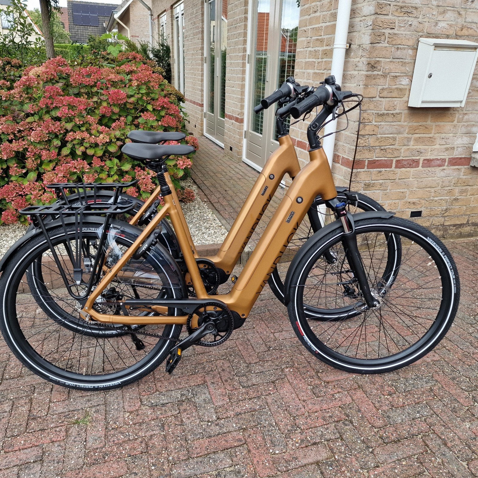 set van 2 Van Dijck Kronos Pro 822Wh 95Nm belt 57cm, Enlèvement