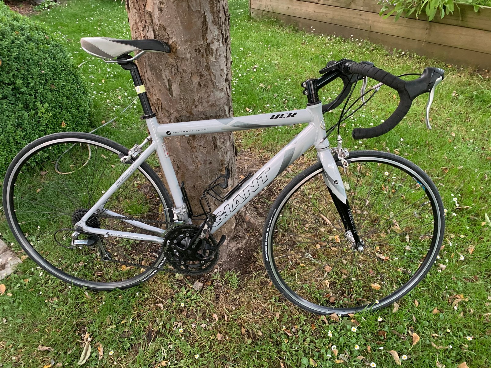 Koersfiets GIANT - grijs - maat 48, Fietsen en Brommers, Fietsen | Racefietsen, Ophalen, Velgrem, Aluminium, Zo goed als nieuw
