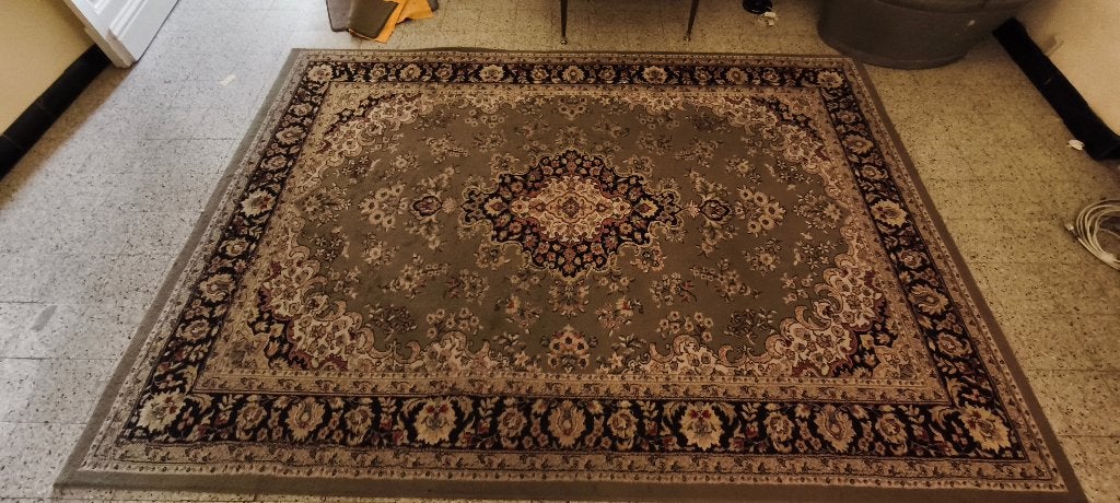 Tapis de salon, Maison & Meubles, 200 cm ou plus, 200 cm ou plus, Enlèvement, Utilisé