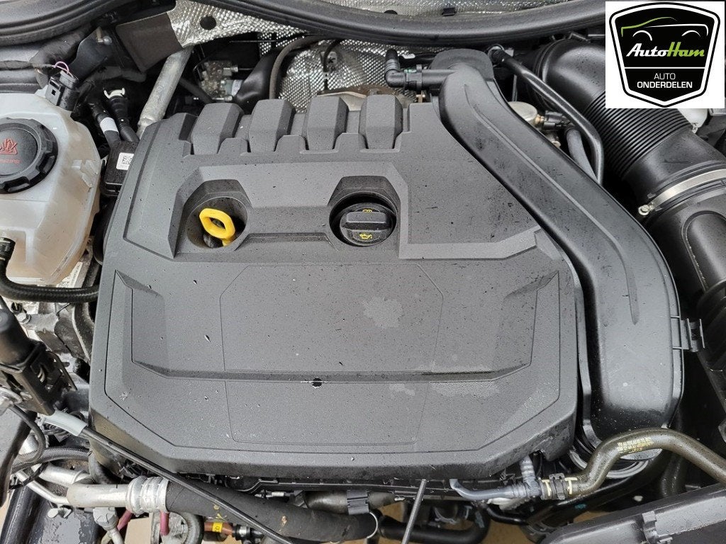 VERSNELLINGSBAK AUTOMAAT Volkswagen Golf VIII (CD1), Dhr. J. Ham, Gebruikt, Volkswagen, Administratie@autoham.nl