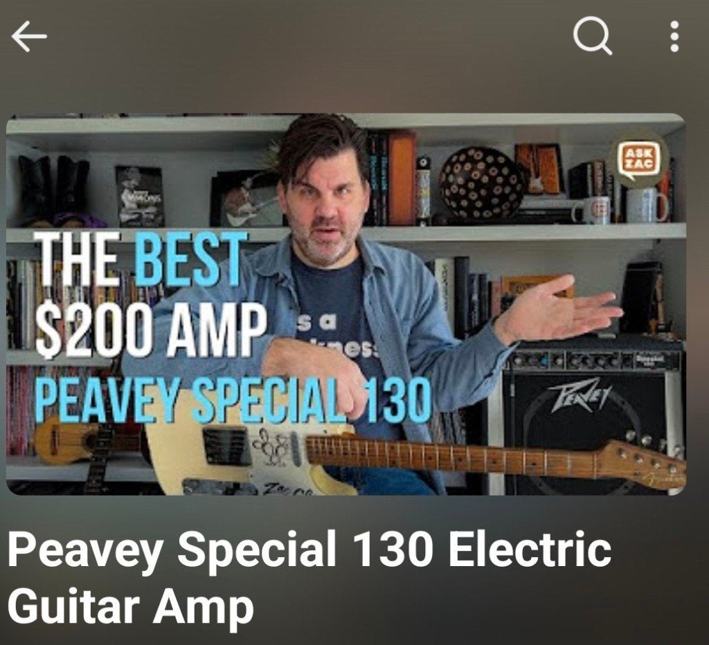 Peavey, Verenigde Staten, Muziek en Instrumenten, Ophalen, Gebruikt, Gitaar, 100 watt of meer