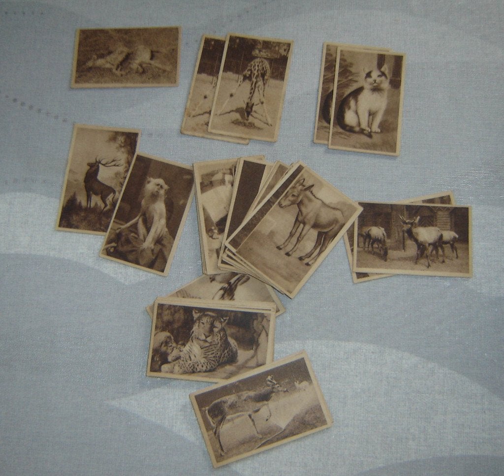 Chromos Cafés Jacquemotte Brussel DIEREN 34st, Gebruikt, Verzenden, Voor 1940, Prent