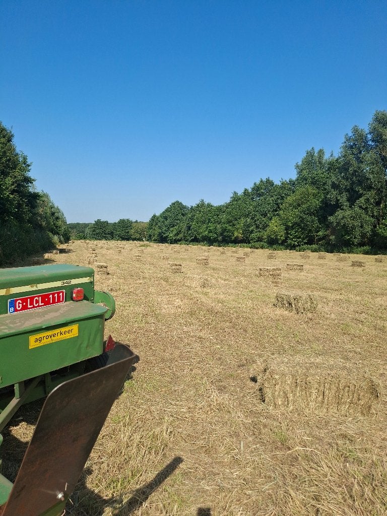 pakken hooi  240, Zakelijke goederen, Landbouw | Veevoer, Ophalen