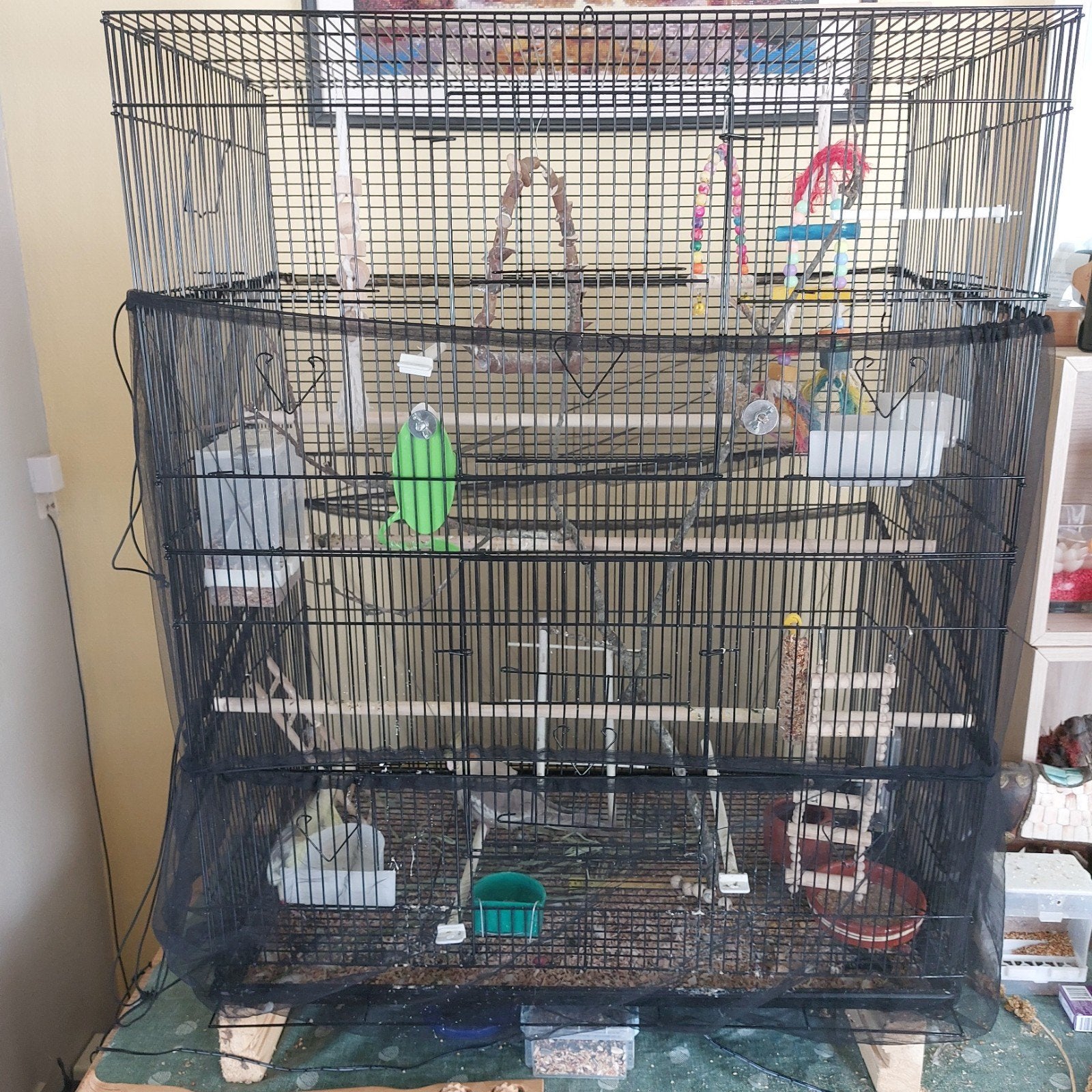 grote vogelkooi, Enlèvement, Neuf, Métal, Cage à oiseaux
