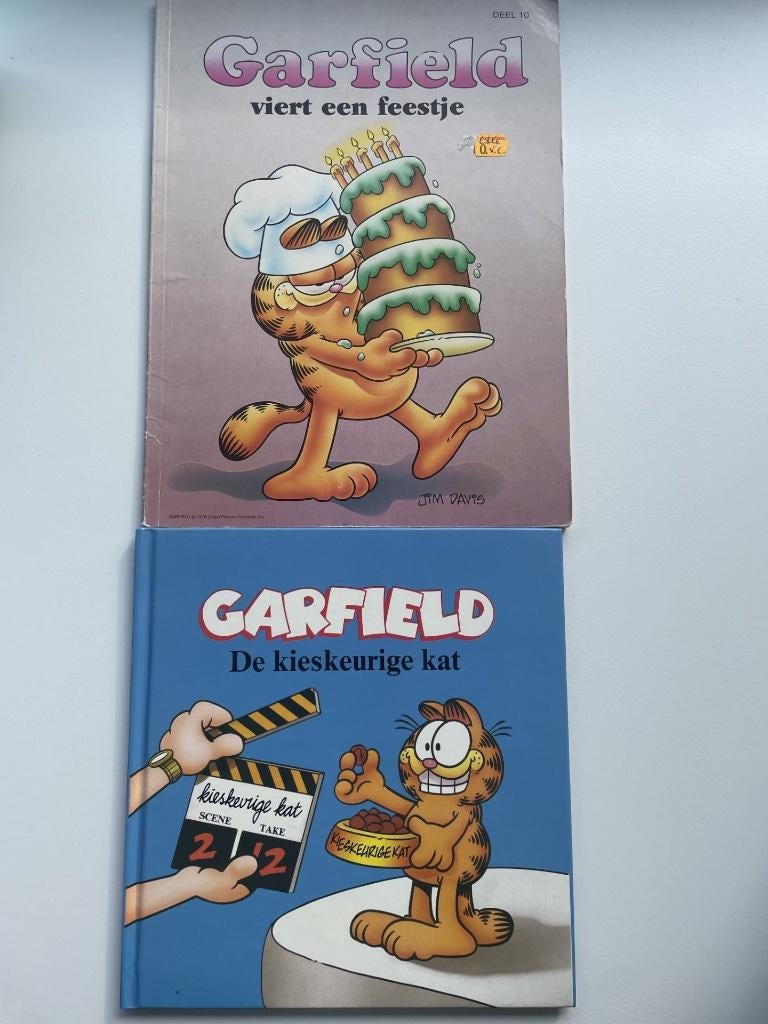 Boek en strip van Garfield, Boeken, Meerdere stripboeken, Ophalen of Verzenden, Zo goed als nieuw, Garfield