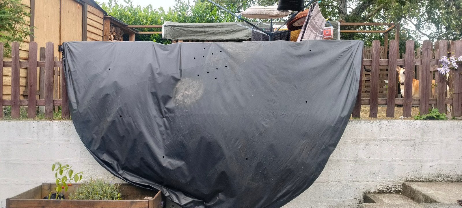 bâche pour piscine diamètre 3m06, Jardin & Terrasse, Enlèvement ou Envoi