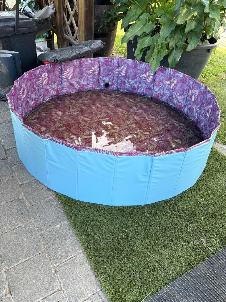Zwembad, Tuin en Terras, Zwembaden, Ophalen, Minder dan 80 cm, Rond, Nieuw