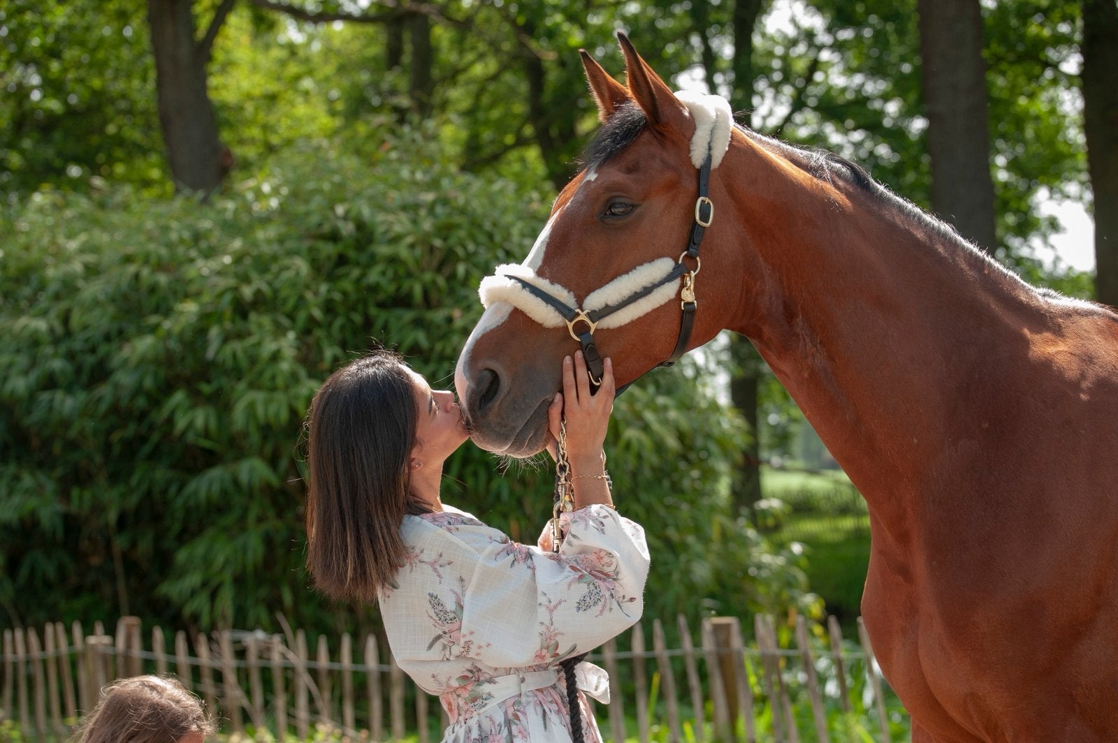 Springmerrie gezocht, Jument, Cheval de saut, Avec pedigree