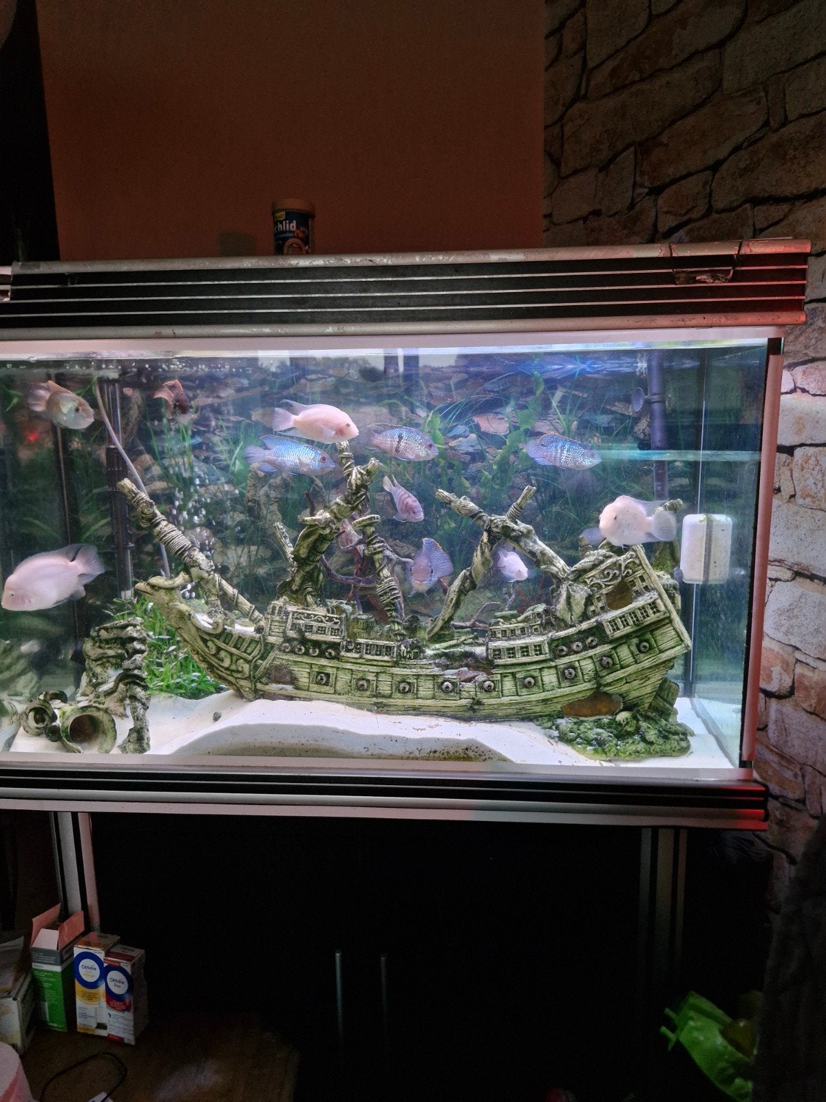 aquarium, Dieren en Toebehoren, Vissen | Aquaria en Toebehoren, Ophalen, Decoratie