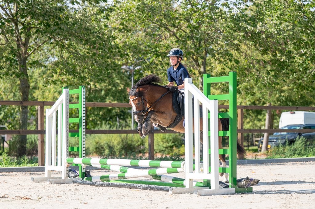 Mooie springpony || ESHA Auction 23-26/10/26, B, Ruin, Springpony, 3 tot 6 jaar