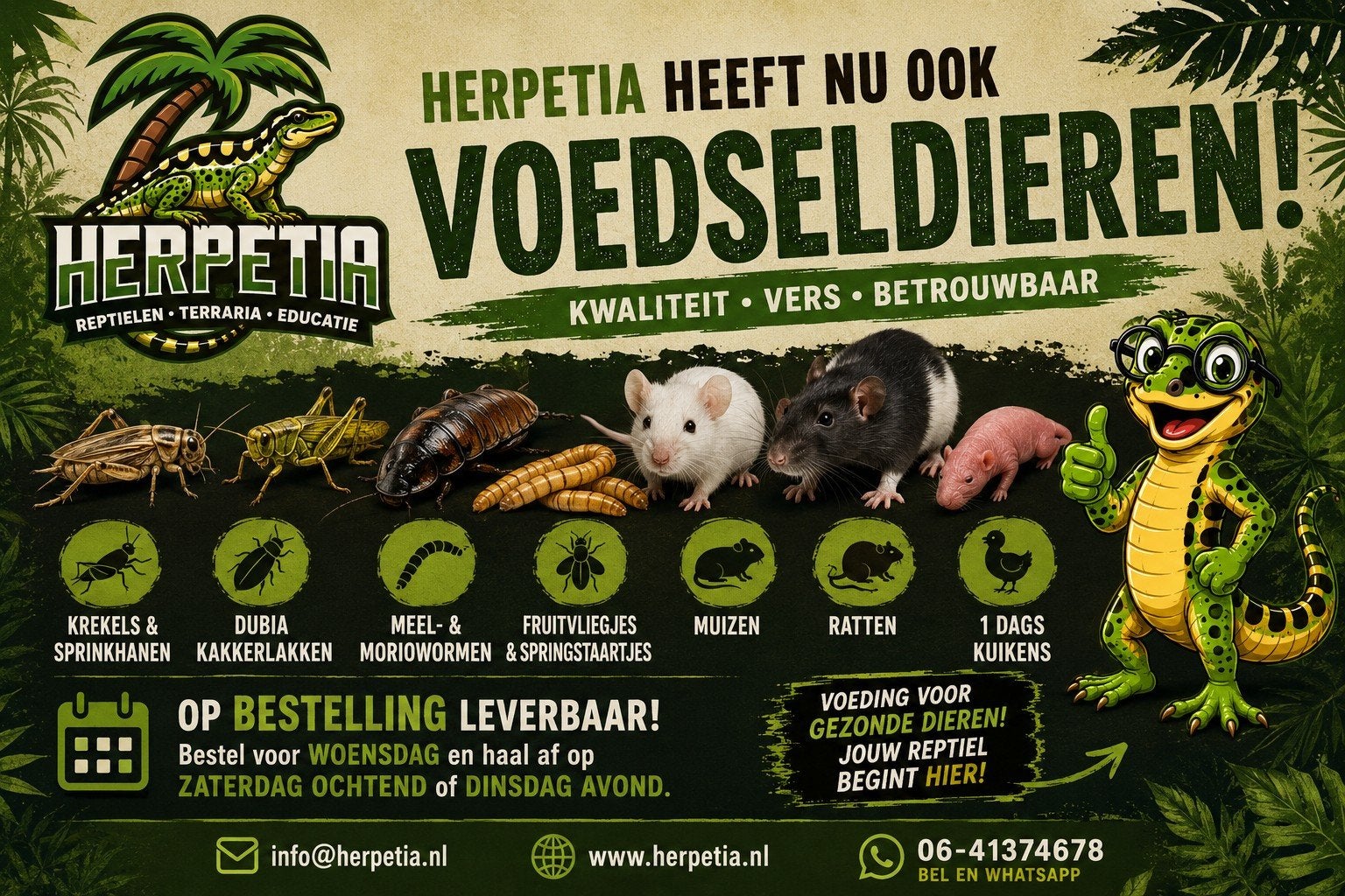 Nieuw! Voedseldieren voor reptielen | Krekels, muizen, ratte, Animaux & Accessoires, Reptiles & Amphibiens | Accessoires, Enlèvement