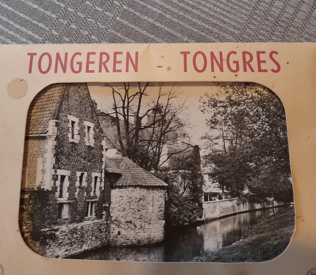 9 oude postkaarten van Tongeren, Enlèvement ou Envoi, Limbourg