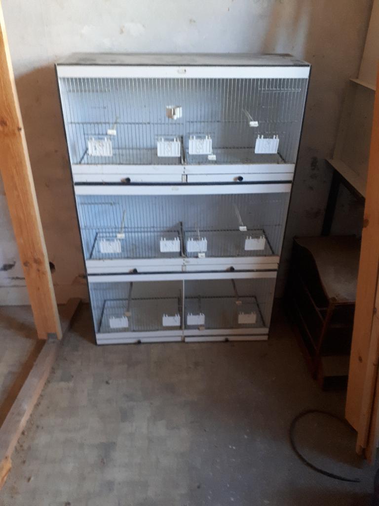 3éleveuses en forex, Animaux & Accessoires, Enlèvement, Utilisé, Synthétique, Cage d'élevage