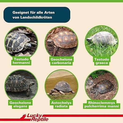 Literie Turtle | 20 litres | LIVRAISON GRATUITE, Envoi, Autres types