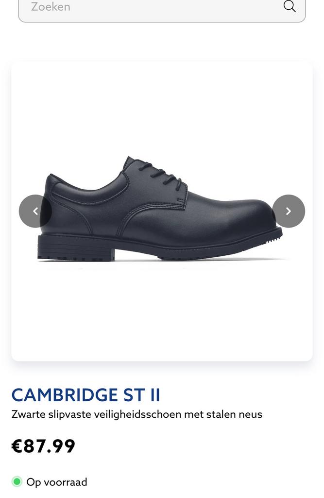 Werkschoenen maat 43, Enlèvement, Neuf