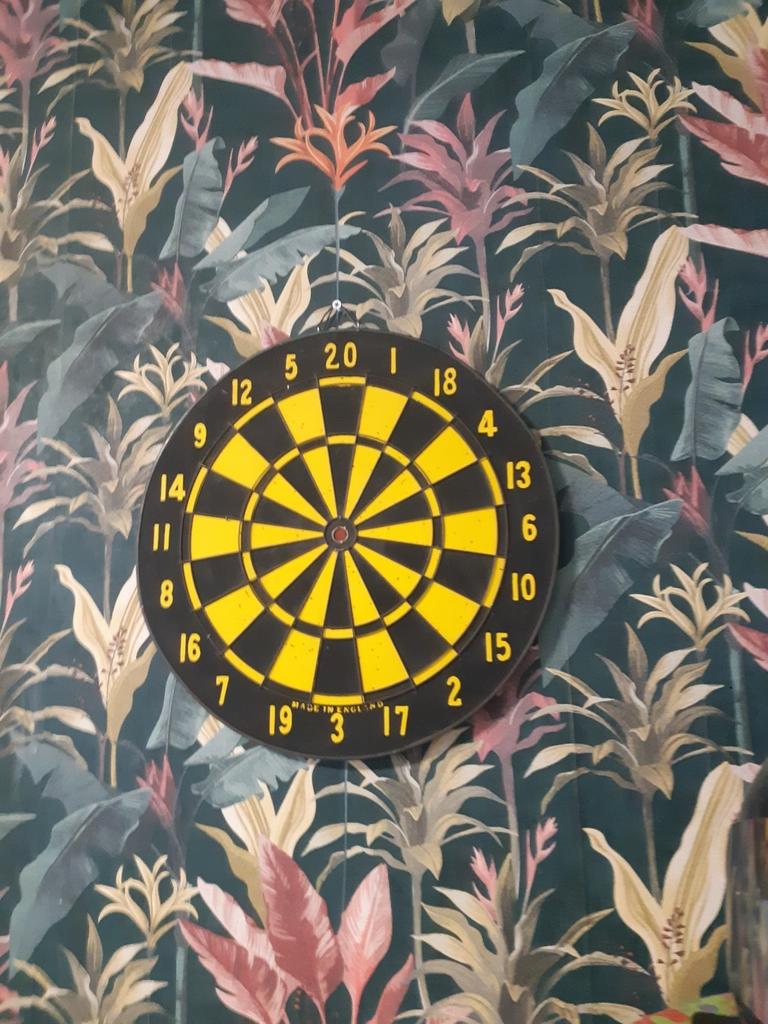 Darts bord, extra ring, Sport en Fitness, Darts, Ophalen, Gebruikt, Dartbord, Soft tip