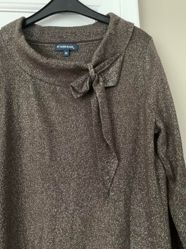 Trui pull Terre Blue 38 donker bruin met gouden draadjes, Ophalen of Verzenden, Bruin