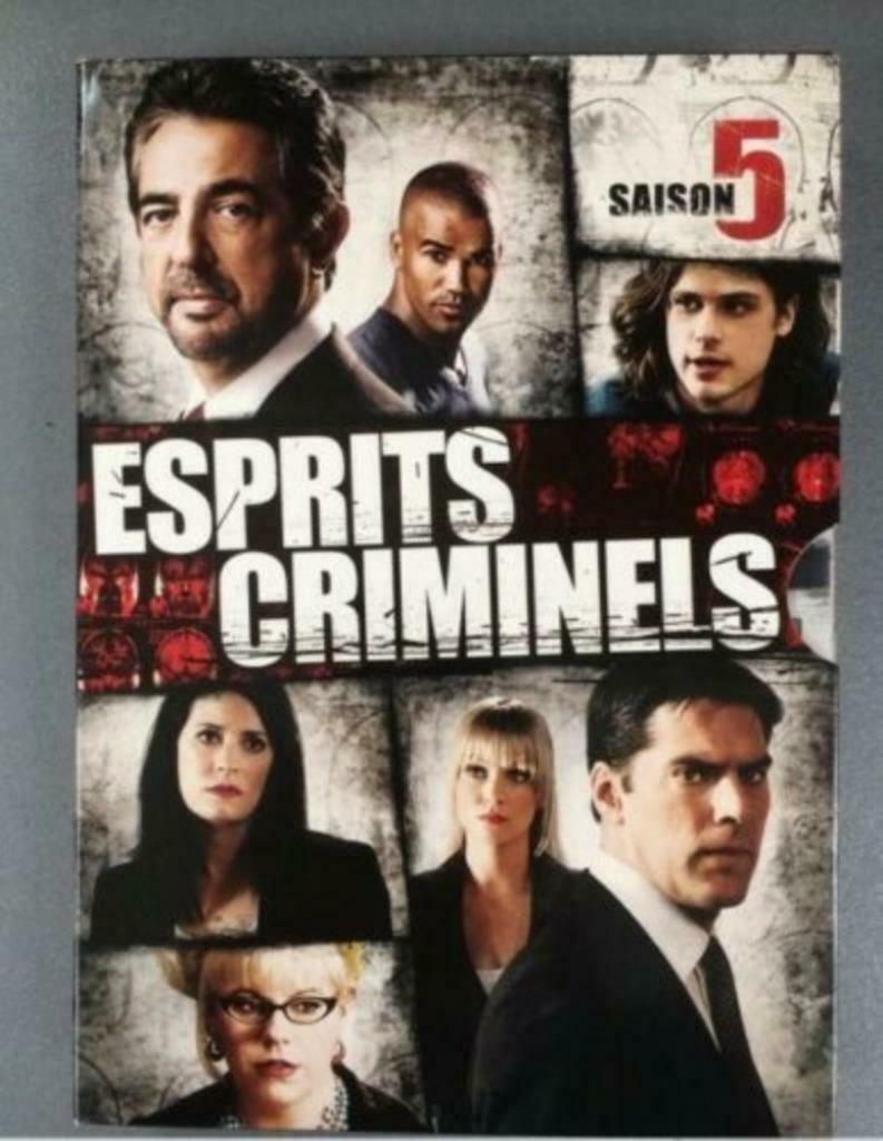 DVD "Esprits Criminels" Saison 5 Coffret 6 DVD, CD & DVD, À partir de 12 ans, Enlèvement ou Envoi
