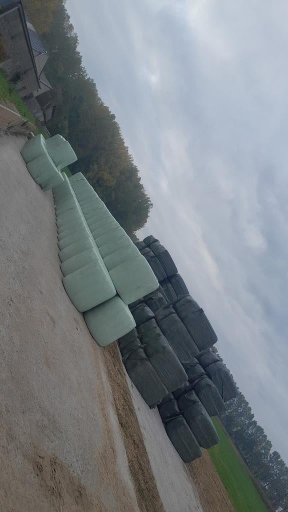 Mks maisbalen Voederbieten Stro hooi voordroog, Animaux & Accessoires, Bovins