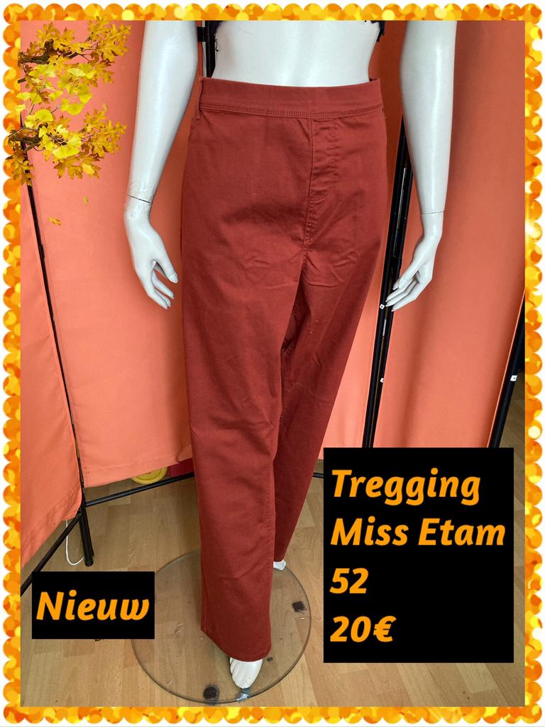 Skinny briek dames 52. Miss Etam, Miss etam, Bruin, Maat 46/48 (XL) of groter, Nieuw