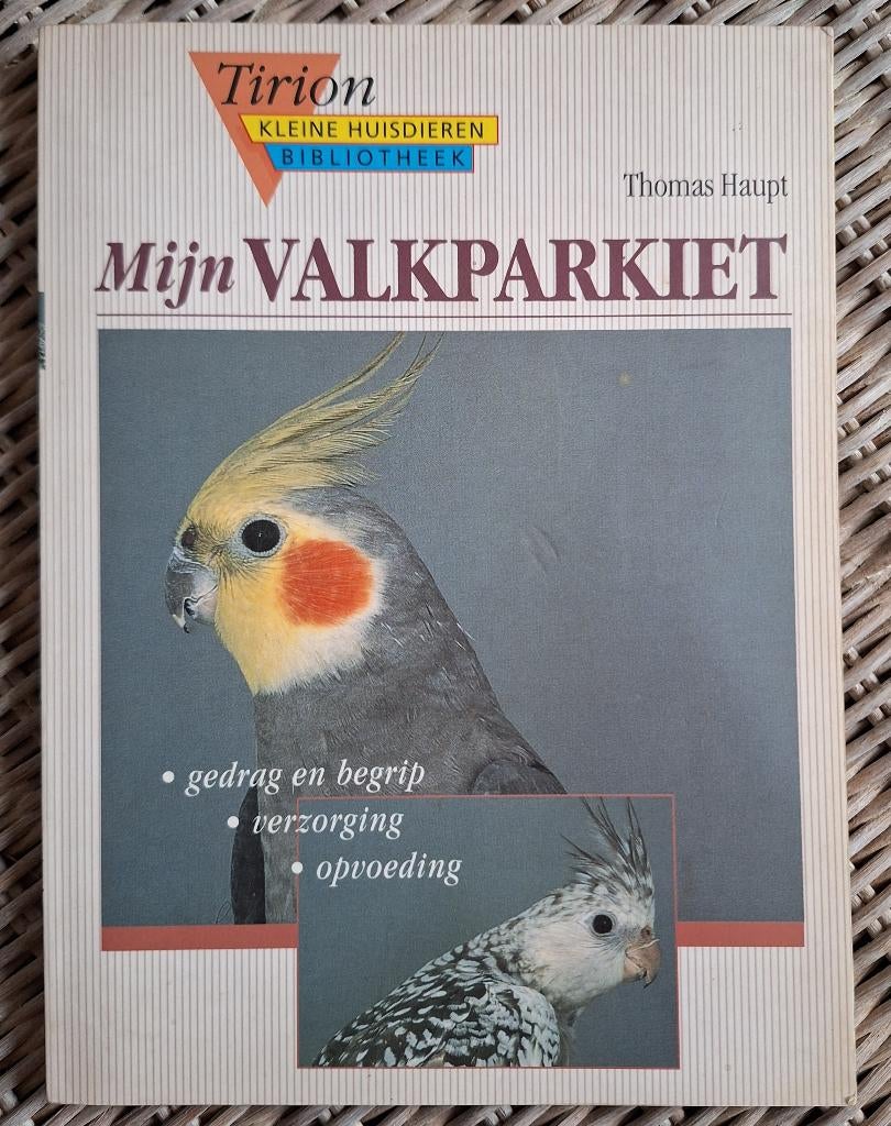 Mijn valkparkiet, Boeken, Ophalen of Verzenden, Zo goed als nieuw, Haupt