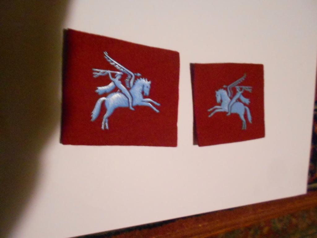 pegasus, Ophalen of Verzenden, Overige soorten, Embleem of Badge