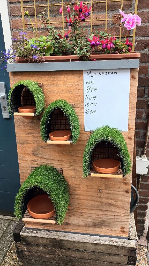 Broednesten, Dieren en Toebehoren, Wildzangvogel