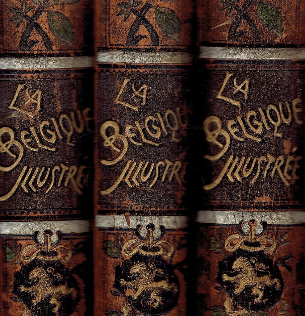 La Belgique,Illustre -1890-3Dl. Ses Monuments, Ses Paysages,, Antiek en Kunst, Ophalen of Verzenden, Bruylant, M. Emile
